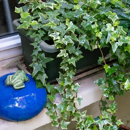 Отель Nouvel 3*